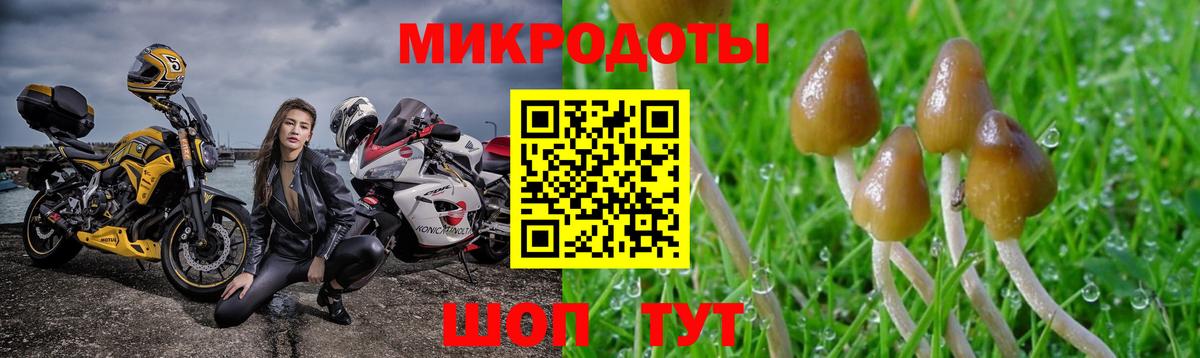 Псилоцибиновые грибы ЛСД  Псилоцибиновые грибы мухоморы  цена наркотик  Муравленко  Вход с VPN 